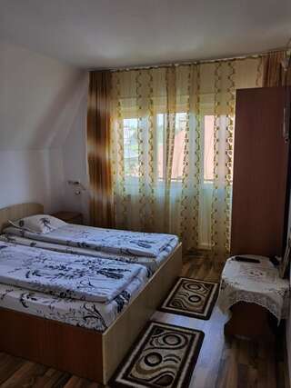 Гостевой дом Pensiunea Dragostica Хорезу Двухместный номер с 2 отдельными кроватями-2